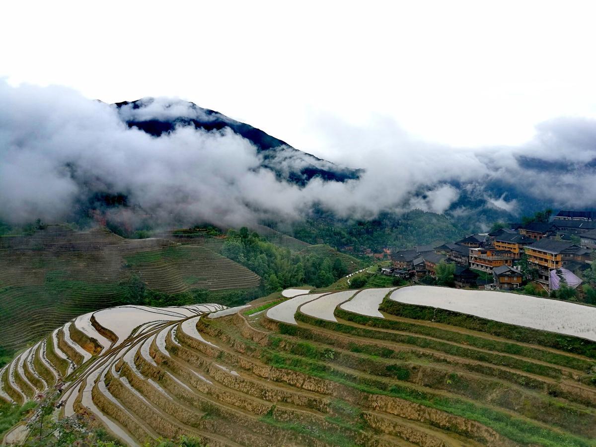Rice View Villa Longsheng Eksteriør billede