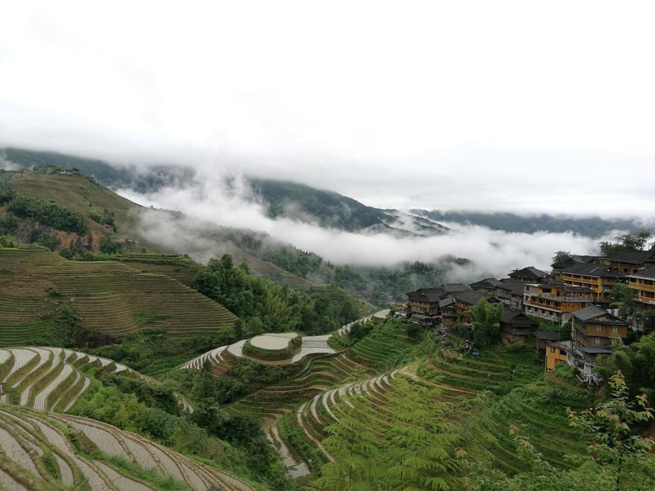 Rice View Villa Longsheng Eksteriør billede