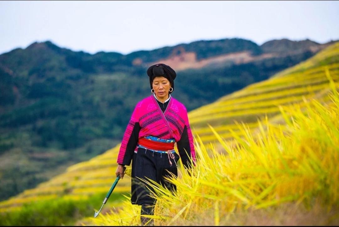 Rice View Villa Longsheng Eksteriør billede