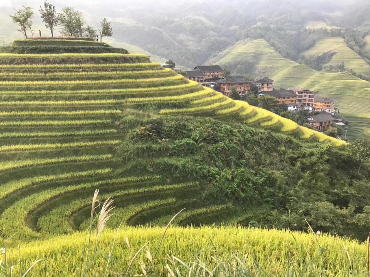 Rice View Villa Longsheng Eksteriør billede