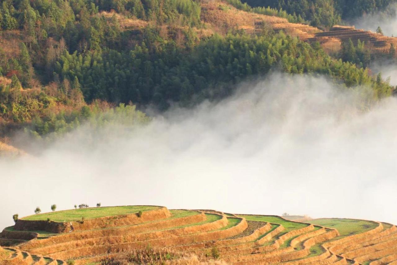 Rice View Villa Longsheng Eksteriør billede